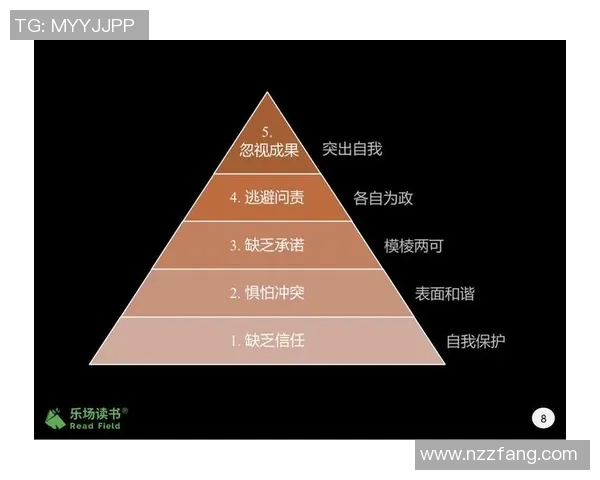 深圳排球队节奏表现数据分析揭示团队协作与比赛策略的深层联系