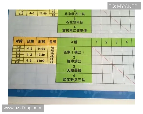重庆乒乓球队的速度之道：技术与训练的深度探讨与分析